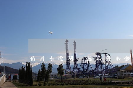 信用卡逾期 怎么查本金 信用卡逾期 怎么查本金